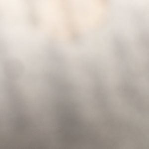 Meet your Posher, Evan